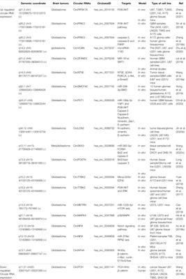 Non-Coding RNAs and Brain Tumors: Insights Into Their Roles in Apoptosis